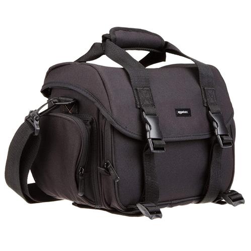 AmazonBasics Large DSLR Gadget Bag (Gray interior)