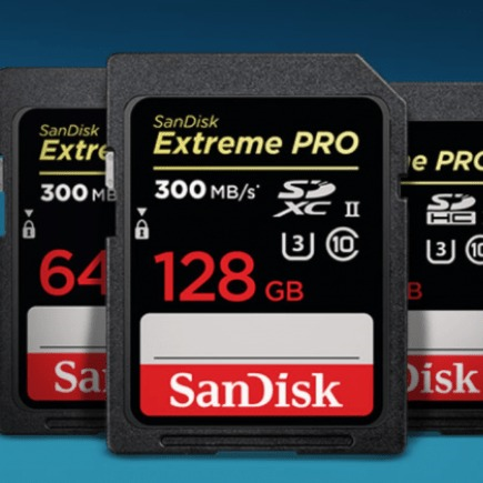 SanDisk Extreme PRO SDXC USH-I Memory Card