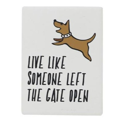 Pet Magnet