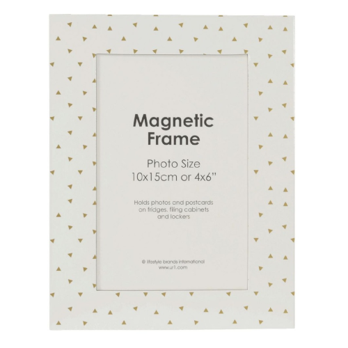 Magnetic Frame