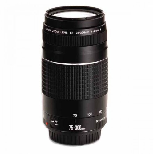 Canon EF 75-300mm F4.0-5.6 III Zoom Lens